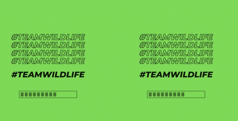 #TEAMWILDLIFE – screenshot 1
