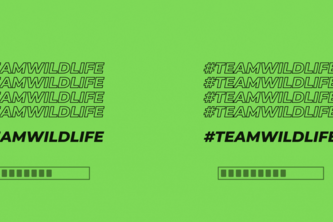 #TEAMWILDLIFE