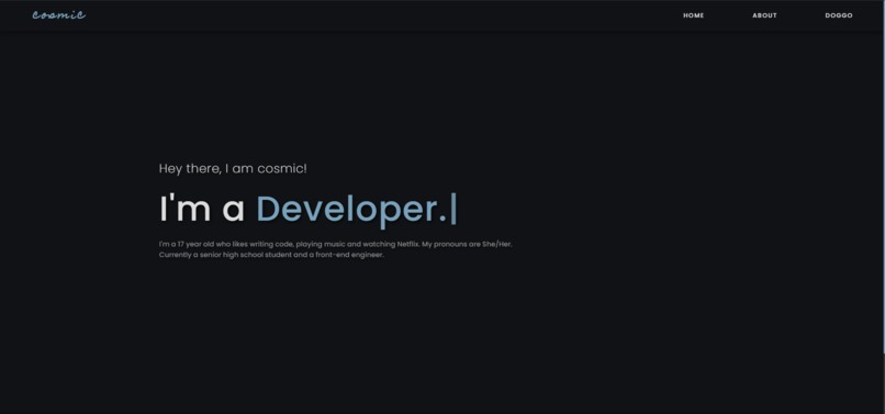 Portfolio – screenshot 1