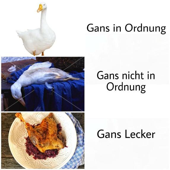 GANs tolles Projekt – screenshot 4