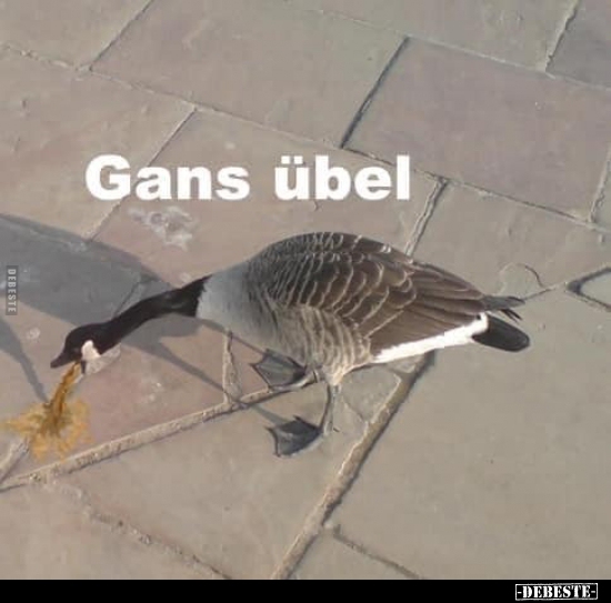 GANs tolles Projekt – screenshot 5