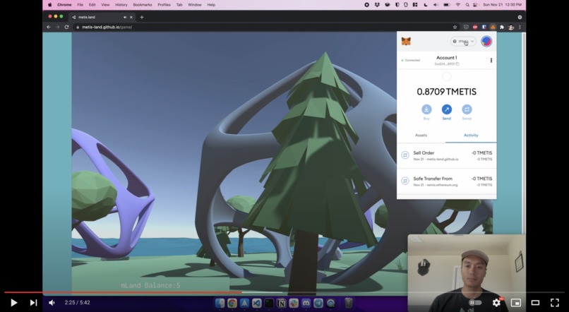 Metis.land – screenshot 2