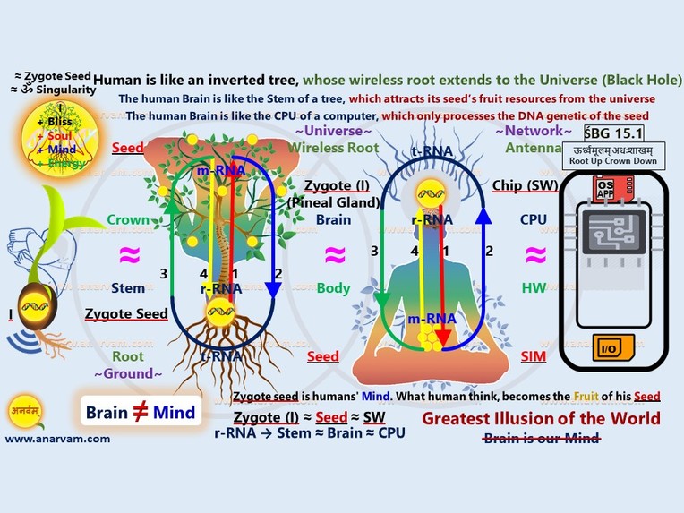 Natural Science of Health and Wealth : Save-Seed – screenshot 2