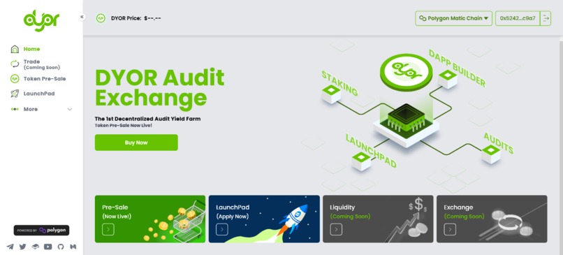 DYOR Audit – screenshot 2