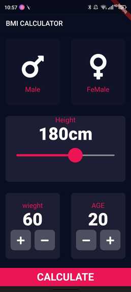 BMI_CALCULATOR – screenshot 3