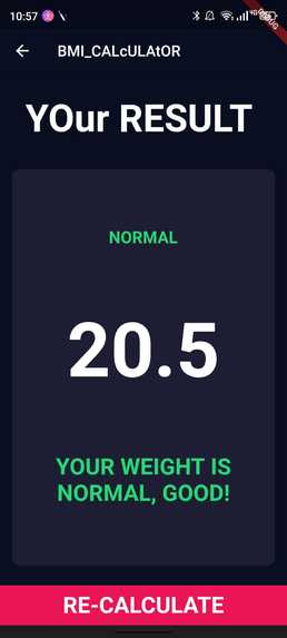 BMI_CALCULATOR – screenshot 2