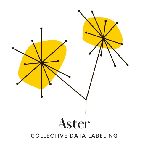 Aster – screenshot 1