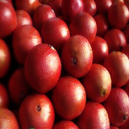 Implementation of CycleGAN on Images and Videos – screenshot 5