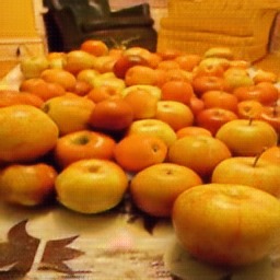 Implementation of CycleGAN on Images and Videos – screenshot 6