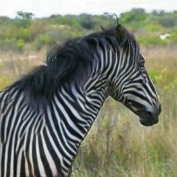 Implementation of CycleGAN on Images and Videos – screenshot 2