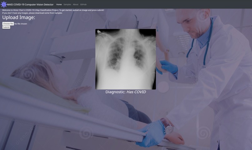 COVID 19 X-Ray Detector – screenshot 1