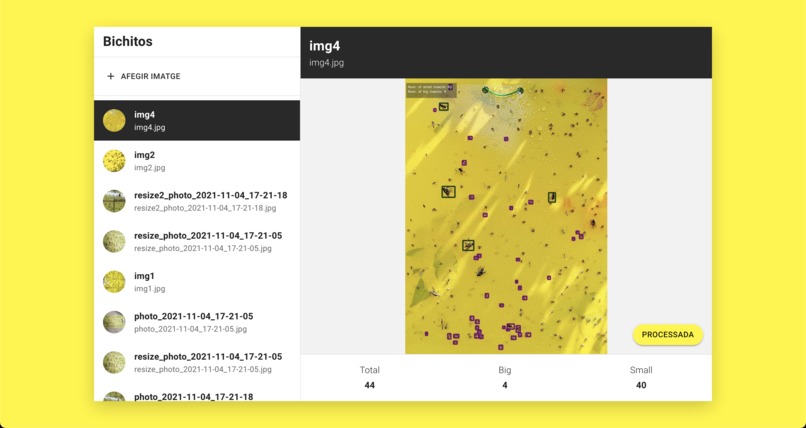 Insect Counting with Deep Learning – screenshot 4