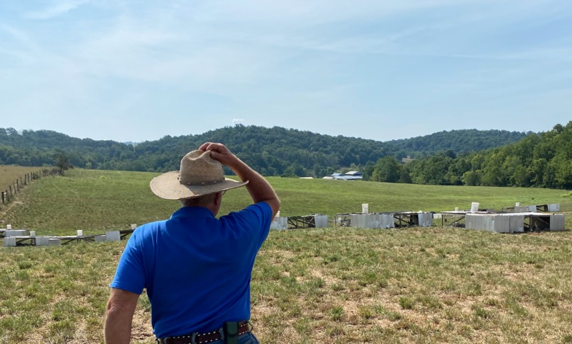 RegeNFTfarm – screenshot 1