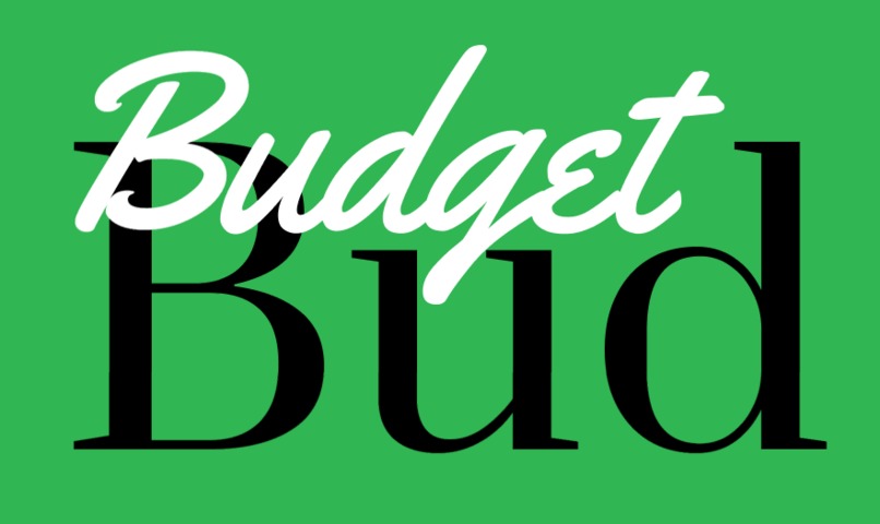 BudgetBud – screenshot 1