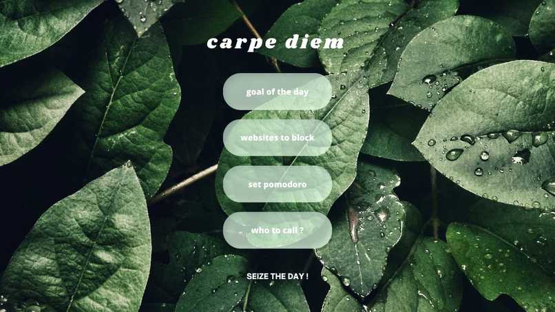 Carpe-Diem – screenshot 1