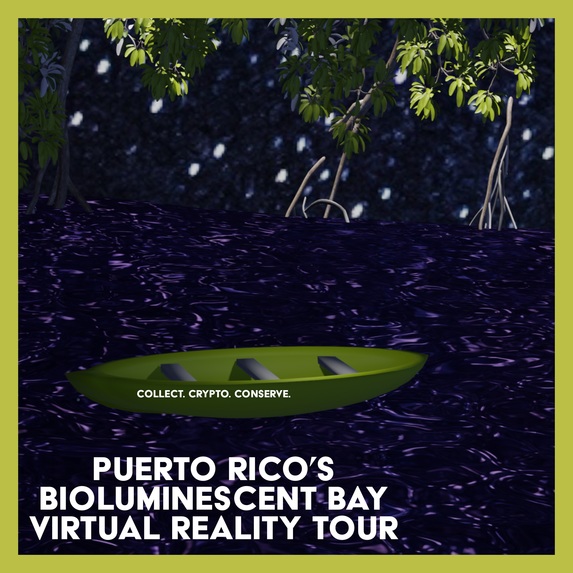 Puerto Rico's first virtual reality bioluminescent bay tour – screenshot 2