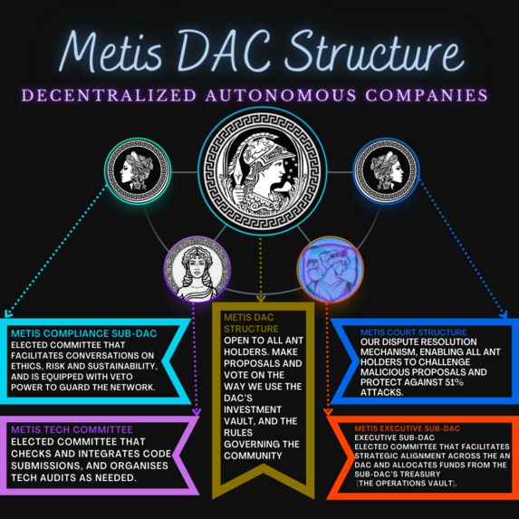 Metis DAC Voting Token – screenshot 5