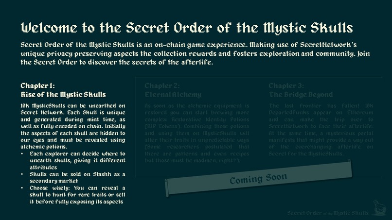 Secret Order of the Mystic Skulls – screenshot 2