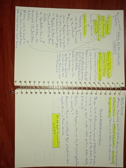 Nakamoto consensus over MANET  (Gaza Strip case) – screenshot 6