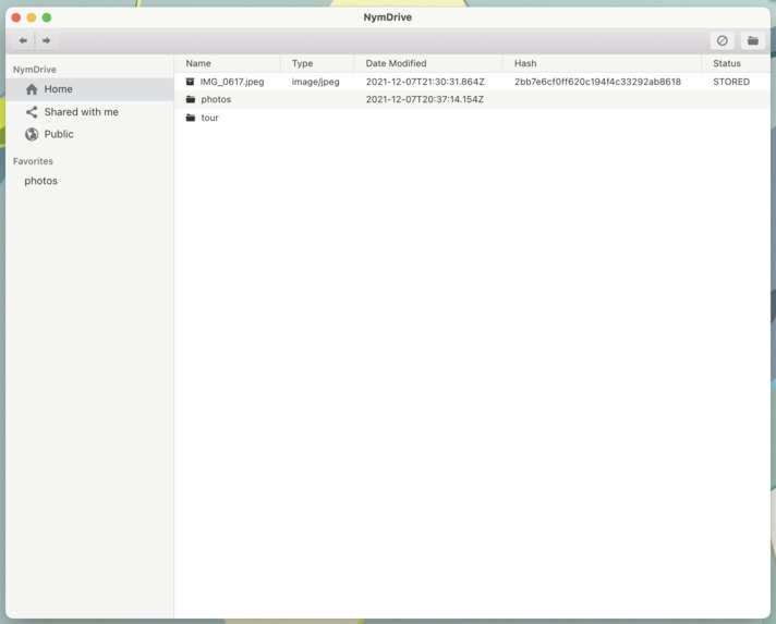 NymDrive – screenshot 1