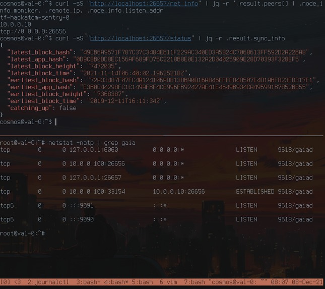 Press Enter to Run a Validator... – screenshot 1