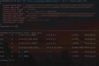 Press Enter to Run a Validator...