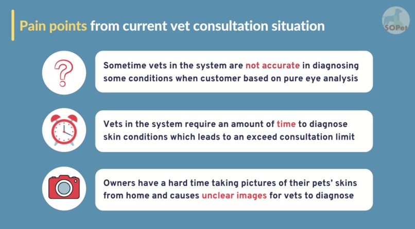 SOPet Skin Disease Diagnosing system  – screenshot 12