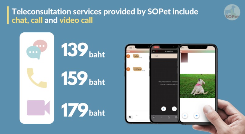 SOPet Skin Disease Diagnosing system  – screenshot 7