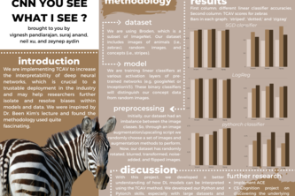 CNN You See What I See: Interpreting Deep Learning Models