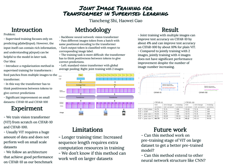 Joint Image Training for Transformers in Supervised Learning – screenshot 1