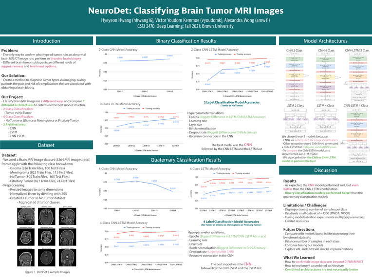 NeuroDet – screenshot 1
