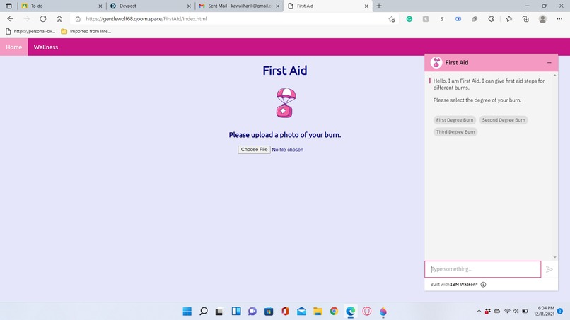 First Aid: Treatments for Injured Epidermis and Dermis – screenshot 4
