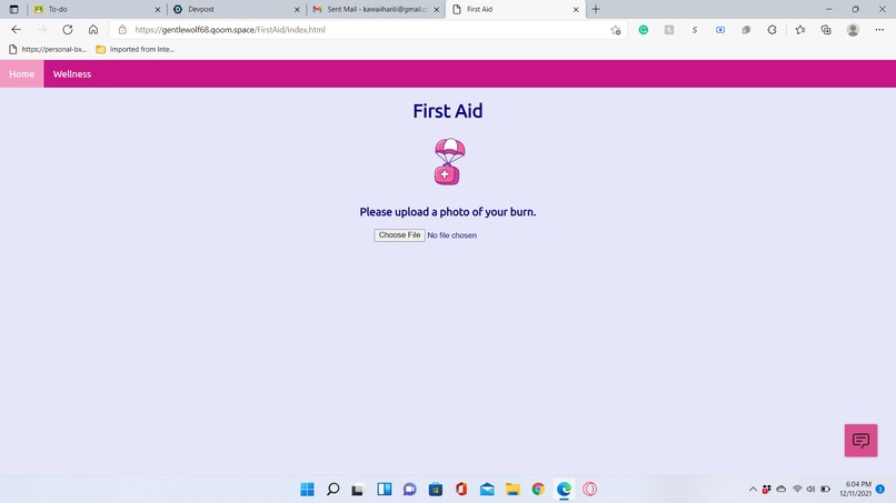 First Aid: Treatments for Injured Epidermis and Dermis – screenshot 3
