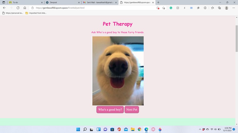 First Aid: Treatments for Injured Epidermis and Dermis – screenshot 7
