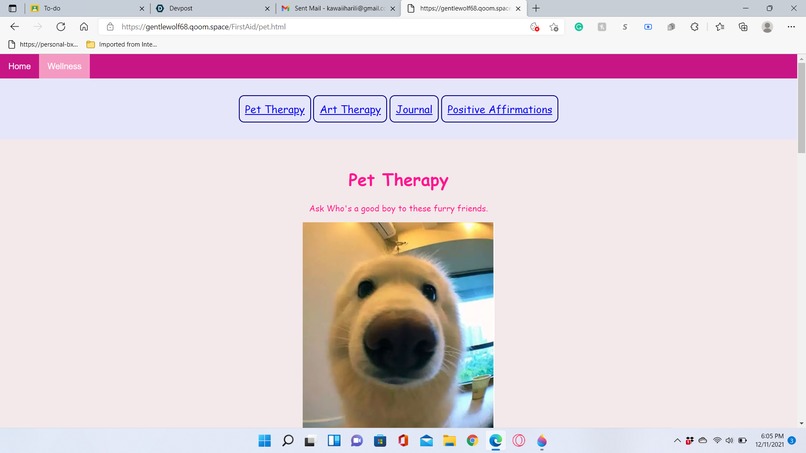 First Aid: Treatments for Injured Epidermis and Dermis – screenshot 6