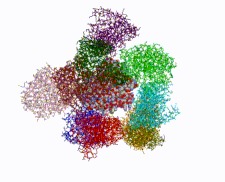Protein Docking Poses Consensus: Essence Ligand Encoding – screenshot 2