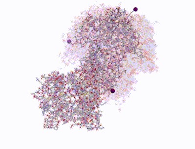 Protein Docking Poses Consensus: Essence Ligand Encoding – screenshot 4