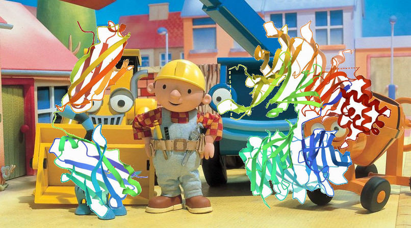 Bob el proteïnes – screenshot 1