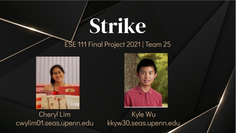 ESE 111, Team 25, STRIKE – screenshot 1