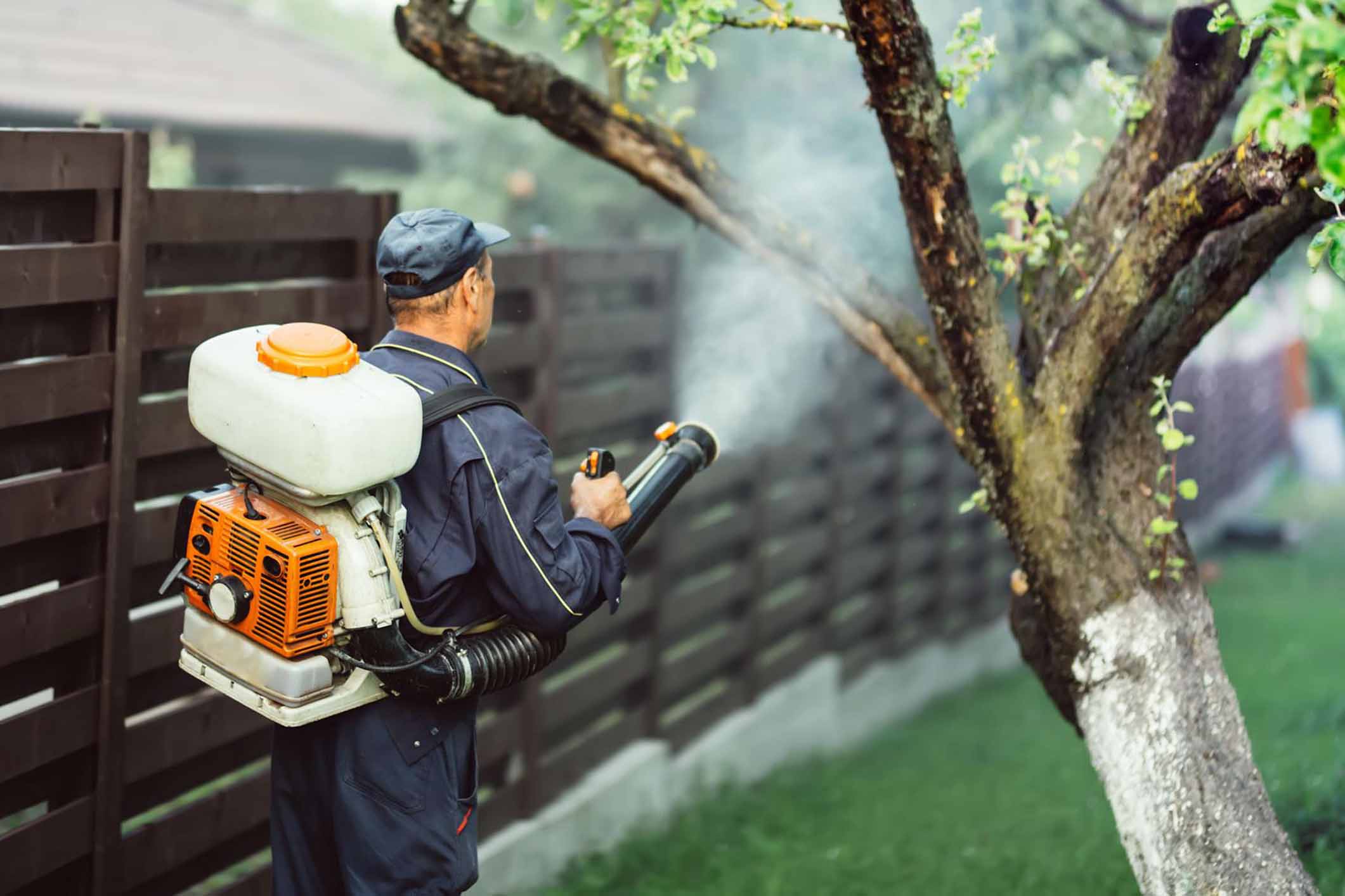 Escrow Bed Bug Exterminator NYC Bed Bug Removal Devpost