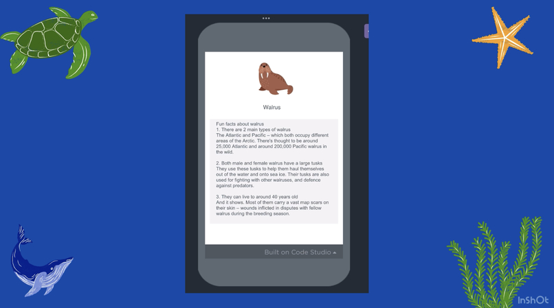 ECOMARINE – screenshot 4