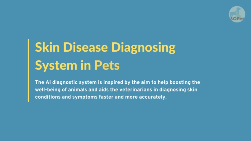 SOPet Skin Disease Diagnosing system  – screenshot 13