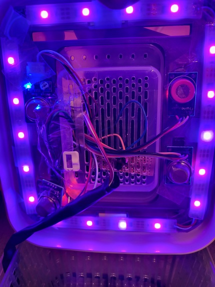 noRot – screenshot 6