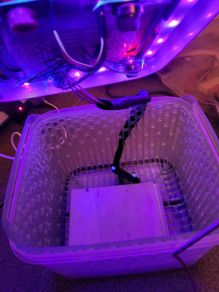 noRot – screenshot 8