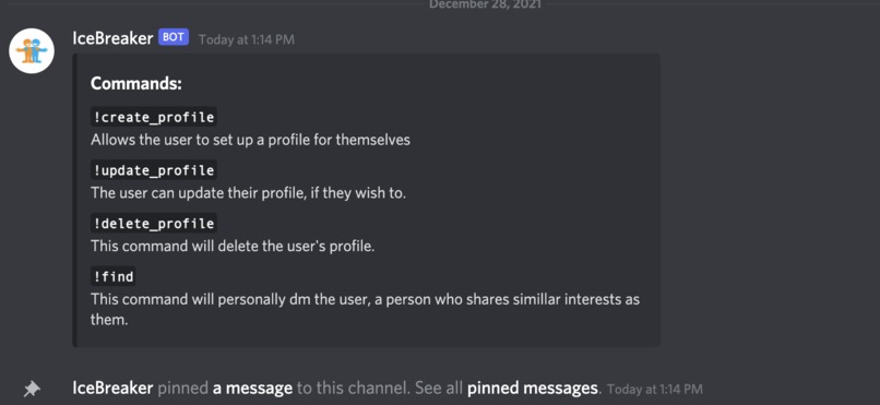 IceBreaker – screenshot 3