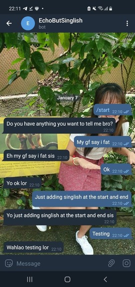 EchoButSinglishBot – screenshot 2