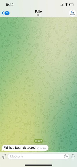 FallyHelpBot – screenshot 3