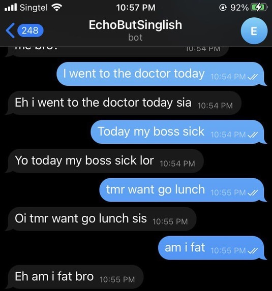 EchoButSinglishBot – screenshot 1