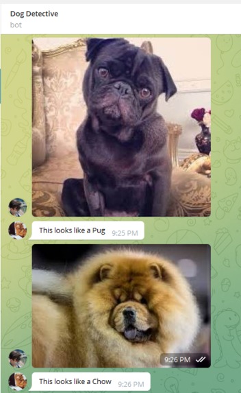 Dog Detective Bot – screenshot 1