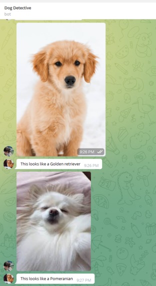 Dog Detective Bot – screenshot 2